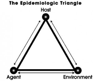 Gambar Segitiga Epidemiologi, yang merupakan konsep dasar Ilmu Epidemiologi 